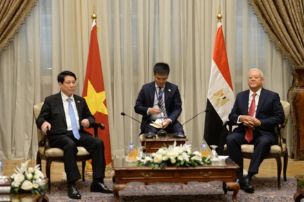 Chủ tịch nước Lương Cường hội kiến Chủ tịch Hạ viện Ai Cập Hanafy El Gebaly.