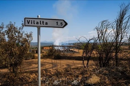 Khu vực bị tàn phá do cháy rừng ở Lleida, Tây Ban Nha. (Ảnh: THX/TTXVN)