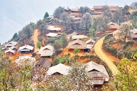 Phong cảnh Nậm Nghẹp vào mùa xuân.