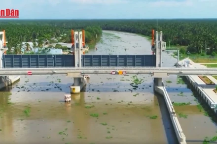 Chủ động nguồn nước, nền tảng quan trọng cho phát triển bền vững vùng Đồng bằng sông Cửu Long