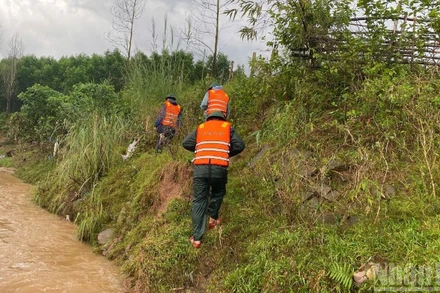 Lực lượng chức năng xã La Lay khẩn trương tìm kiếm tài xế bị nước lũ cuốn trôi.