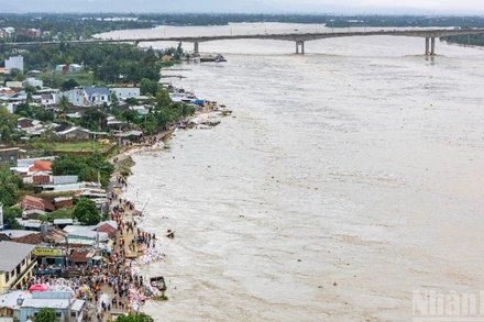 Nước sông Thu Bồn dâng cao tại xã Duy Nghĩa, thành phố Đà Nẵng. (Ảnh: TÙNG LÂM).