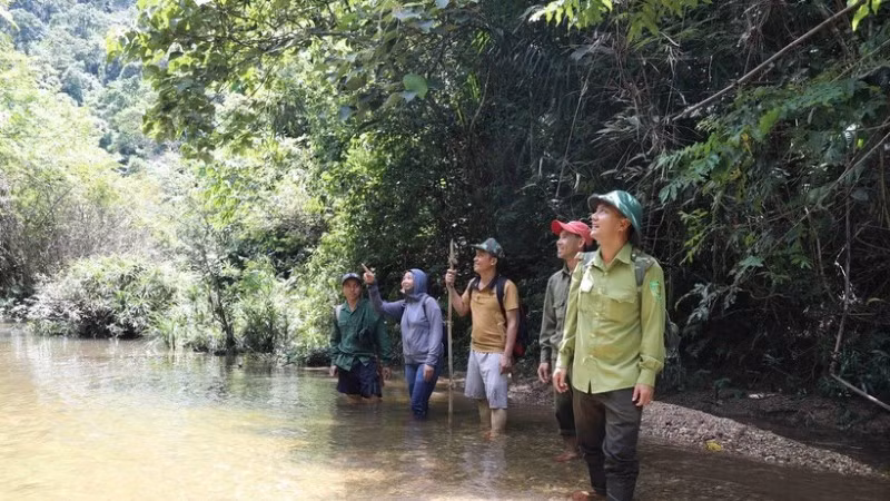 Lực lượng kiểm lâm và người dân địa phương trong khu vực suối Khe Cố, Tiểu khu 730, được khoanh nuôi, bảo vệ nguồn lợi thủy sản. (Ảnh: TTXVN)