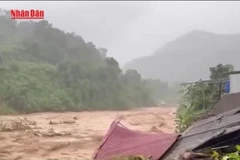 [Video] Nghệ An liên tiếp xuất hiện lũ ống, lũ quét