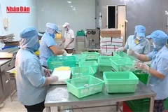 [Video] Năm 2025, xuất khẩu thủy sản của Việt Nam có thể đạt 9,2 tỷ USD