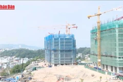 [Video] Nghiên cứu mở rộng thí điểm miễn giấy phép xây dựng 