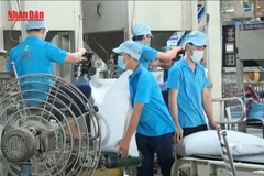 [Video] Giá gạo Việt Nam ở mức cao nhất thế giới so với các sản phẩm cùng chủng loại