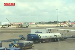 [Video] Hủy hàng loạt chuyến bay do ảnh hưởng bão số 5 