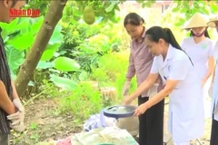 [Video] Hà Nội lồng ghép phòng dịch bệnh Chikungunya với sốt xuất huyết