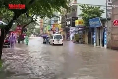[Video] Nghệ An phân bổ 500 tỷ đồng khắc phục hậu quả thiên tai