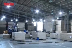 [Video] Năm 2025: Xuất khẩu nông, lâm, thủy sản phấn đấu đạt trên 65 tỷ USD