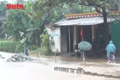 [Video] Dự báo mưa lớn ở nhiều khu vực, cảnh báo lũ trên các sông từ Thanh Hóa đến Huế