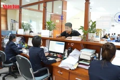 [Video] Khai báo theo mã riêng trên hải quan điện tử với hàng hóa được giảm thuế VAT