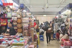[Video] Cảnh báo mạo danh cơ quan thuế yêu cầu cập nhật địa chỉ
