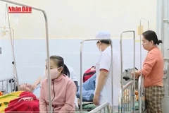 [Video] 5 tháng đầu năm, cả nước đã ghi nhận gần 23.000 ca mắc sốt xuất huyết