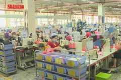 [Video] Hà Nội triển khai 8 nhóm nhiệm vụ phát triển kinh tế tư nhân