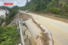 [Video] Khắc phục giao thông sau bão số 3 tại Nghệ An