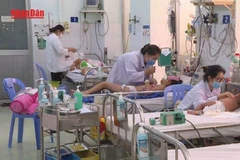 [Video] TP Hồ Chí Minh: Sốt xuất huyết tăng mạnh, nhiều trường hợp nguy kịch