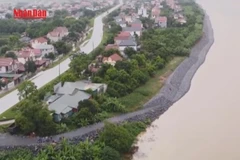[Video] Phân quyền trong lĩnh vực môi trường cho địa phương 
