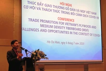 Chủ tịch Vifores Đỗ Xuân Lập trình bày ý kiến tại hội thảo.