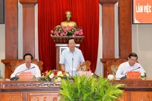 Đồng chí Đào Ngọc Dung phát biểu tại buổi làm việc.  