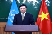 Phó Thủ tướng Phạm Bình Minh.