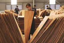 Doanh nghiệp Việt đang phải cạnh tranh trực tiếp với các doanh nhân Trung Quốc trong việc thu mua ván bóc của Việt Nam. Ảnh minh họa. (Nguồn:congthuong.vn)