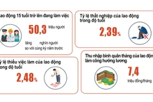 Một số chỉ tiêu về lao động-việc làm sáu tháng đầu năm 2022 (Ảnh: GSO).