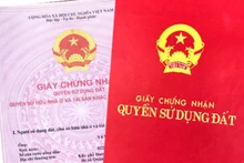 Ảnh minh họa. (Nguồn: baochinhphu.vn)