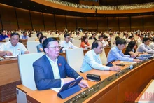 Đại biểu Quốc hội biểu quyết thông qua Luật Kinh doanh bảo hiểm (sửa đổi). (Ảnh: LINH KHOA NGUYÊN)