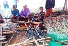 Hiện trường lán tạm nơi nạn nhân Giàng Giả bị sét phóng trúng, tử vong tại chỗ.