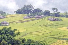 Bản Phùng, huyện Hoàng Su Phì, Hà Giang, là địa chỉ hấp dẫn du khách. (Ảnh minh họa)