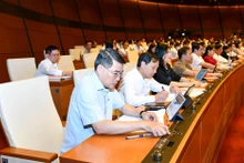 Đại biểu Quốc hội biểu quyết thông qua Nghị quyết thành lập Đoàn giám sát chuyên đề “Việc huy động, quản lý và sử dụng các nguồn lực phục vụ công tác phòng, chống dịch Covid-19; việc thực hiện chính sách, pháp luật về y tế cơ sở, y tế dự phòng”. (Ảnh: LINH NGUYÊN)