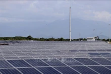 Nhà máy điện mặt trời BP Solar 1 tại xã Phước Hữu, huyện Ninh Phước, tỉnh Ninh Thuận. (Ảnh tư liệu: Công Thử/TTXVN)