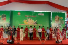 Lễ Khai mạc Tuần lễ xoài và nông sản an toàn tỉnh Sơn La.
