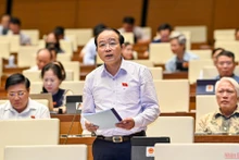 Đại biểu Lã Thanh Tân phát biểu tại phiên thảo luận của Quốc hội chiều 10/6. (Ảnh: LINH NGUYÊN)