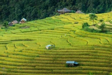 Khu ruộng bậc thang ở Mae Chaem, Chiang Mai, một trong những địa điểm quay phim được ưa chuộng tại Thái Lan. (Ảnh: Bưu điện Bangkok)