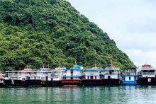 Tàu thuyền về neo đậu tránh trú bão trong vịnh Cát Bà.