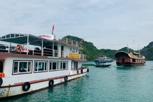 Tàu du lịch đã được yêu cầu dừng hoạt động trên vịnh Cát Bà từ 17 giờ chiều 2/7.