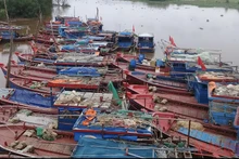 Nhiều tàu, thuyền ở Thái Bình đã vào nơi neo đậu an toàn.