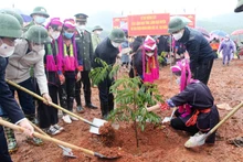 Phát động Tết trồng cây