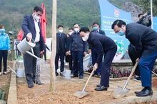 Các đồng chí Ủy viên Trung ương Đảng: Đỗ Đức Duy, Bí thư Tỉnh ủy Yên Bái; Huỳnh Tấn Việt, Bí thư Đảng ủy Khối các cơ quan Trung ương trồng cây lưu niệm tại Khu di tích quốc gia Đèo Lũng Lô.