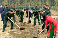 Sau lễ phát động lực lượng vũ trang quân khu 3 đã trồng được hơn 300 cây xanh ở Ninh Bình. 