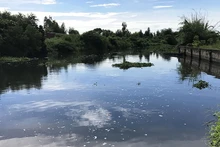 Một trong những dòng kênh tại khu công nghiệp bị ô nhiễm, gây mùi hôi thối.
