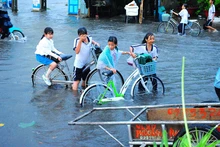 Mưa âm ỉ, Cà Mau bì bõm trong nước