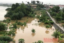 Mưa lũ gây ngập nặng nhiều nơi ở TP Yên Bái (Ảnh minh họa: Thanh Sơn).