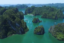 Quảng Ninh sẽ phát triển rừng đặc dụng thành rừng quốc gia Vịnh Hạ Long 
