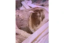 Cây gỗ bị chặt phá còn bỏ lại tại Tiểu khu 720.