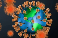 Có tới 850.000 virus giống như virus corona chủng mới, tồn tại ở động vật và có thể lây nhiễm sang người. Ảnh: Getty Images.