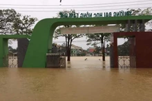 Trường đại học Nông Lâm, Đại học Huế bị ngập sâu 
